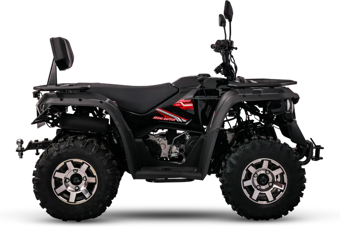 Regal Raptor M210, siyah