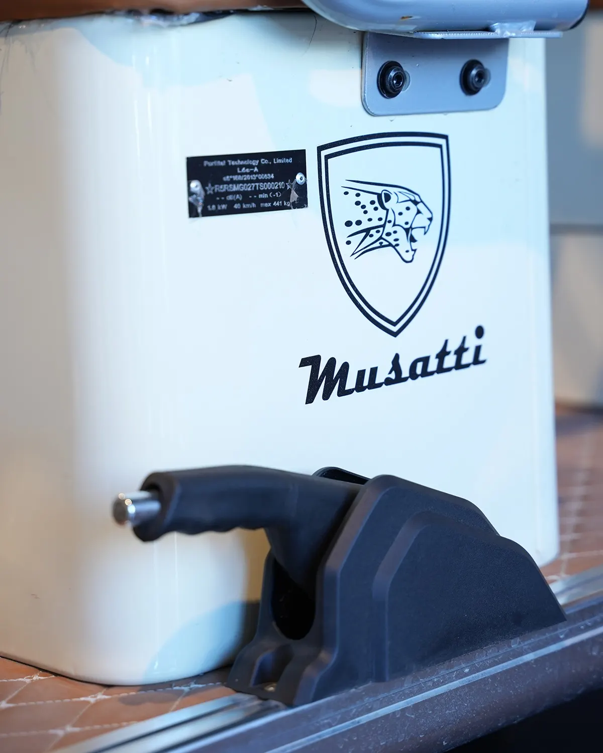 Musatti Venedik Pro, detay fotoğrafı
